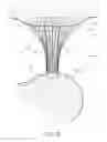 Fig. 03 - PROSTHETIC PHRENOESOPHAGEAL MEMBRANE