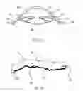 Fig. 02 - REFRACTIVE INTRAOCULAR IMPLANT LENS AND METHOD