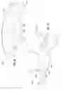 Fig. 05 - ACCOMMODATING INTRAOCULAR LENSES