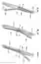 Fig. 13 - Mitral Valve Replacement Toggle Cell Securement