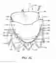 Fig. 08 - Prosthetic valve with improved washout