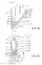 Fig. 09 - Prosthetic valve with improved washout
