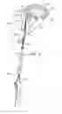 Fig. 06 - Tissue Anchor with Tether Stop