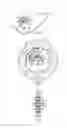 Fig. 03 - Thumbwheel actuated vascular intervention device delivery system