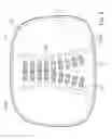 Fig. 08 - WELDED BACK BRACE
