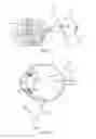 Fig. 02 - Photodisruption-based vitrectomy system