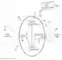 Fig. 01 - Intraocular implant device