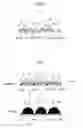 Fig. 06 - Absorbent article