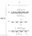 Fig. 09 - Absorbent article