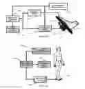 Fig. 26 - Method and apparatus for improving human balance and gait and preventing foot injury