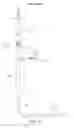 Fig. 05 - ASSEMBLY AND ADAPTER FOR REGULATING PRESSURE DURING FLUID TRANSER