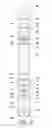 Fig. 03 - Bottle Feeding Device
