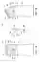 Fig. 09 - Bottle Feeding Device