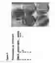 Fig. 09 - Microalgae-derived compositions for improving the health and appearance of skin