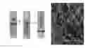 Fig. 01 - Peptide hydrogel properties and its applications