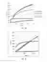 Fig. 03 - Peptide hydrogel properties and its applications
