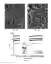 Fig. 07 - Peptide hydrogel properties and its applications