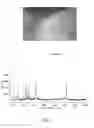 Fig. 02 - PRODUCT COMPRISING HYDROLIZED COLLAGEN AND AT LEAST ONE AMORPHOUS MICRONIZED DRUG, PROCESS FOR THE PREPARATION THEREOF AND RELATED USES IN MEDICAL FIELD