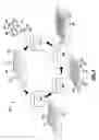 Fig. 04 - Multiphasic particles fabricated by wettability engendered templated self-assembly (WETS) methods
