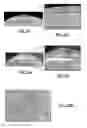 Fig. 15 - Multiphasic particles fabricated by wettability engendered templated self-assembly (WETS) methods