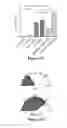 Fig. 07 - POLYMER-LIPID MATERIALS FOR DELIVERY OF NUCLEIC ACIDS