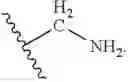 Fig. 211 - POLYMER-LIPID MATERIALS FOR DELIVERY OF NUCLEIC ACIDS