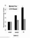 Fig. 14 - COMPOSITIONS AND METHODS FOR TREATING LUNG DISEASES
