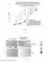 Fig. 17 - COMPOSITIONS AND METHODS FOR TREATING LUNG DISEASES