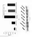 Fig. 22 - COMPOSITIONS AND METHODS FOR TREATING LUNG DISEASES