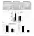 Fig. 26 - COMPOSITIONS AND METHODS FOR TREATING LUNG DISEASES