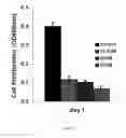 Fig. 29 - COMPOSITIONS AND METHODS FOR TREATING LUNG DISEASES