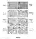 Fig. 37 - COMPOSITIONS AND METHODS FOR TREATING LUNG DISEASES