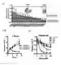 Fig. 04 - METHODS AND COMPOSITIONS RELATING TO PROTEASOME INHIBITOR RESISTANCE