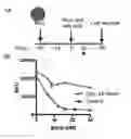 Fig. 10 - METHODS AND COMPOSITIONS RELATING TO PROTEASOME INHIBITOR RESISTANCE