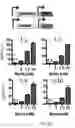 Fig. 14 - METHODS AND COMPOSITIONS RELATING TO PROTEASOME INHIBITOR RESISTANCE