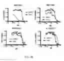 Fig. 43 - METHODS AND COMPOSITIONS RELATING TO PROTEASOME INHIBITOR RESISTANCE