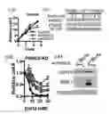 Fig. 49 - METHODS AND COMPOSITIONS RELATING TO PROTEASOME INHIBITOR RESISTANCE