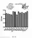 Fig. 56 - METHODS AND COMPOSITIONS RELATING TO PROTEASOME INHIBITOR RESISTANCE