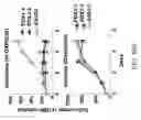 Fig. 79 - METHODS AND COMPOSITIONS RELATING TO PROTEASOME INHIBITOR RESISTANCE