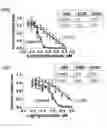 Fig. 86 - METHODS AND COMPOSITIONS RELATING TO PROTEASOME INHIBITOR RESISTANCE