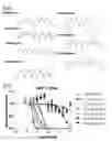 Fig. 91 - METHODS AND COMPOSITIONS RELATING TO PROTEASOME INHIBITOR RESISTANCE