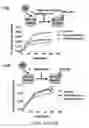 Fig. 94 - METHODS AND COMPOSITIONS RELATING TO PROTEASOME INHIBITOR RESISTANCE