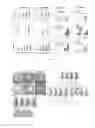 Fig. 03 - Method for using small molecule compounds to induce human tumor cells to be directly reprogrammed into non-oncogenic cells