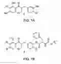 Fig. 02 - COMPOSITION FOR BLOCKING ANGIOGENESIS