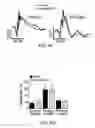Fig. 09 - COMPOSITION FOR BLOCKING ANGIOGENESIS