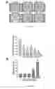 Fig. 04 - Methods for treating angiogenesis related disorder