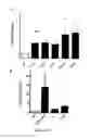 Fig. 03 - METHODS AND PHARMACEUTICAL COMPOSITIONS FOR THE TREATMENT OF DARIER DISEASE