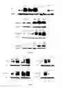 Fig. 04 - METHODS AND PHARMACEUTICAL COMPOSITIONS FOR THE TREATMENT OF DARIER DISEASE
