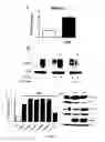 Fig. 05 - METHODS AND PHARMACEUTICAL COMPOSITIONS FOR THE TREATMENT OF DARIER DISEASE
