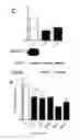 Fig. 07 - METHODS AND PHARMACEUTICAL COMPOSITIONS FOR THE TREATMENT OF DARIER DISEASE